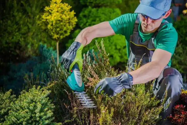 landscaping services Livermore